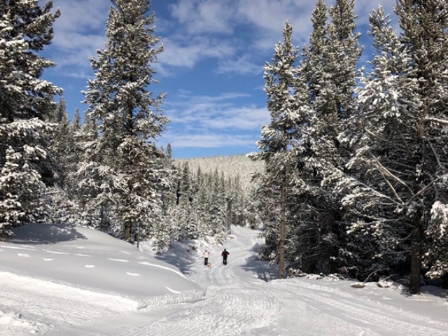 Skiers make first tracks of 2018 season at Cutler Nordic Ski Trails